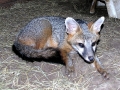 DSCN0977