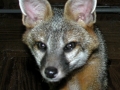 DSCN0979