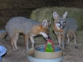 DSCN1104
