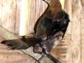 DSC02865