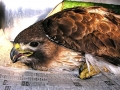 DSCN8018