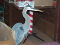 Blueheron_1