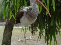 DSC01660