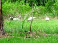 DSC01832