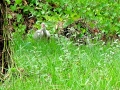 DSC01834