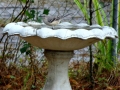 01_Mockingbird