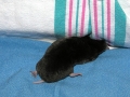 DSCN2281