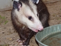DSC05472