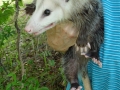 DSC05649