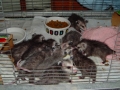 DSC08848