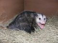 DSCN0824