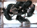 DSCN1081