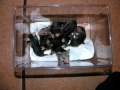DSCN1083