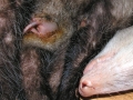 DSCN2551_1