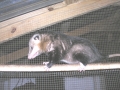 DSCN2888_(2)