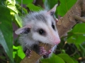 DSCN3341