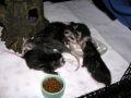 DSCN3644