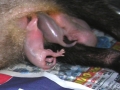 DSCN3722_1