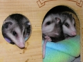 DSCN3777