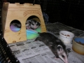 DSCN3778