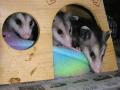 DSCN3779