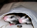 DSCN4370_2