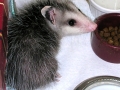 DSCN4373_2
