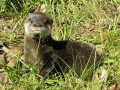 DSCN7793_1