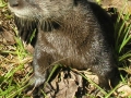 DSCN7793_2