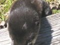 DSCN7795