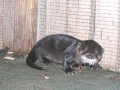 DSCN7951_1