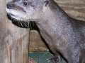 DSCN8367_1
