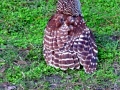 DSC06630
