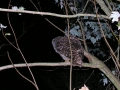 DSCN0265