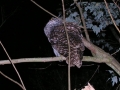 DSCN0266