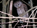 DSCN0267