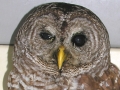 DSCN8887_1