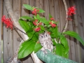 DSC01438
