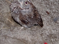 DSC01440