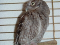 DSC03662