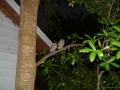 DSC08557