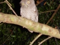 DSC08559