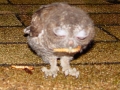 DSC08566
