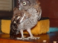 DSC08706