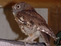 DSC08741