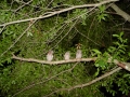 DSC08780