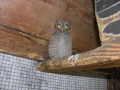 DSCN5165