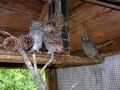 DSCN5167