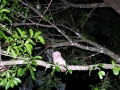 DSCN5400
