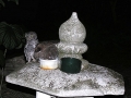 DSCN5404